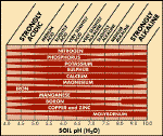 25.gif (19379 bytes)